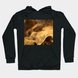 Brown dog face with eyes and snout Hoodie